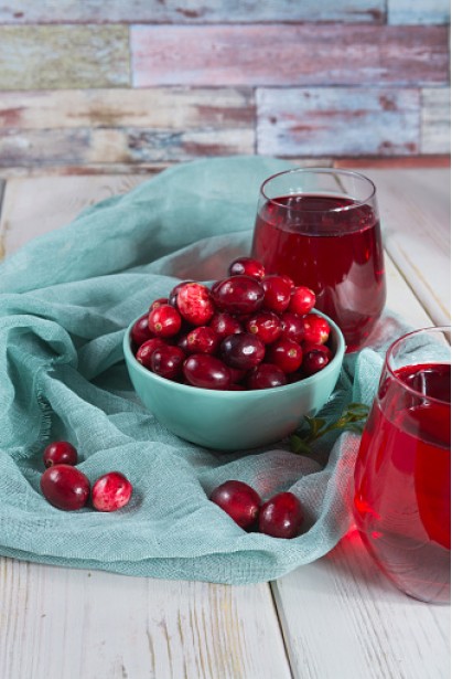 Клюква ранняя Early Black уход